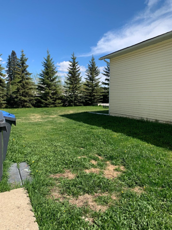4412 47A Ave., Sylvan Lake, T4S 1N4, 3 Bedrooms Bedrooms, ,1 BathroomBathrooms,Four plex,For Rent,4412 47A Ave.,1731